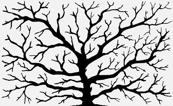 Vector image of dry tree silhouette on white background. EPS10.