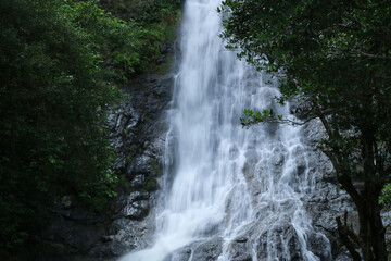 waterfall in the forest