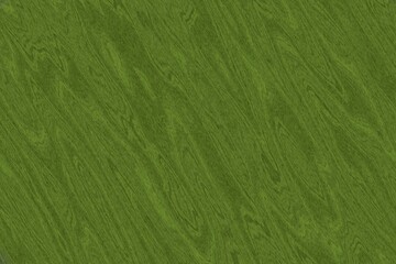 Obraz premium design lime abstractive wood digital art texture background illustration