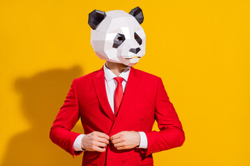 Photo of businessman panda guy adjust button look empty space wear mask red suit tie isolated on...