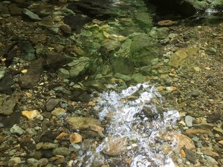 上流の澄み切った川