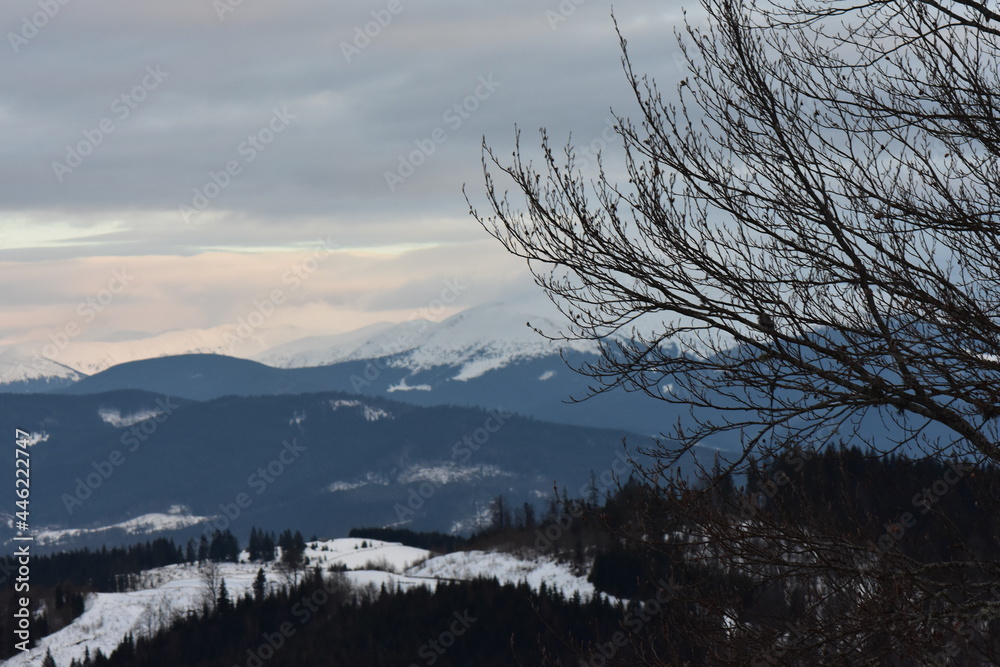 Sticker winter in the mountains