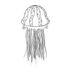 Sea jellyfish, black outline, coloring, vector illustration