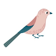 Bird vector illustration in cartoon style. Garden jay bird. Flying little cute birdie