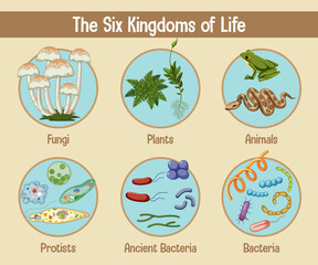 Science poster of six kingdoms of life
