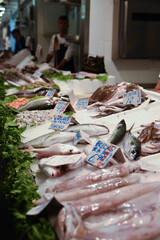 fish on the market
