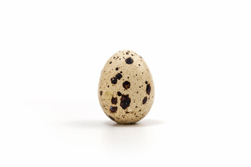 Small but nutritious quail eggs