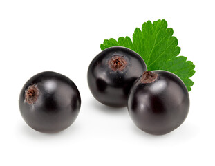 black currant with green leaf isolated on white background. clipping path