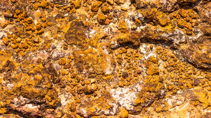 A texture of a stone floor