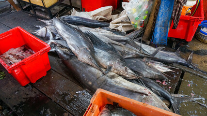 Fresh fish panels in the market