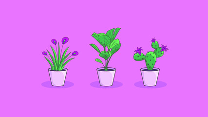 Set of linear potted plants in bloom on the pink background. Good for t-shirt print, visitcard, foristic market, explainer video, interior style.