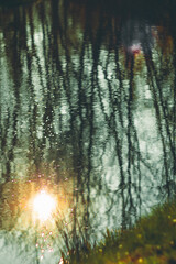 Fototapeta na wymiar trees reflection on the lake