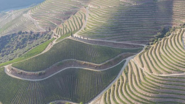 Flying along terraced grape vines in a hilltop vineyard and farm house in the Douro Valley, Portugal. Aerial view, 4K. UNESCO World Heritage place. The Beautiful Douro and His Mountains on summer day.