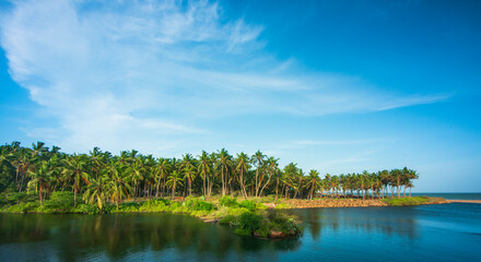 landscape with lake