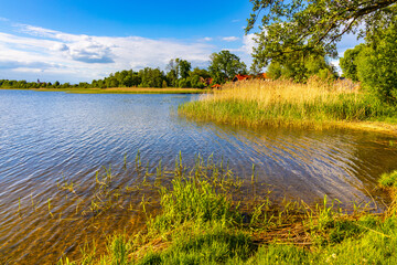 Panoramic summer view of Jezioro Selmet Wielki lake landscape with reeds and wooded shoreline in Sedki village in Masuria region of Poland