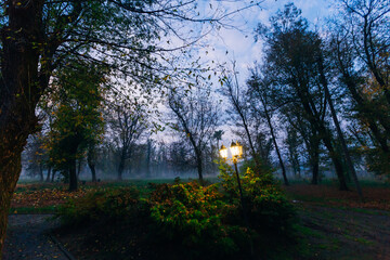 Fototapeta na wymiar alone lantern in dramatic misty autumn park