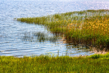 Panoramic summer view of Jezioro Selmet Wielki lake landscape with reeds and shoreline in Sedki village in Masuria region of Poland