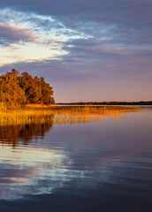 Panoramic summer sunset view of Jezioro Selmet Wielki lake landscape with reeds and wooded shoreline in Sedki village in Masuria region of Poland - obrazy, fototapety, plakaty