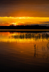 Panoramic summer sunset view of Jezioro Selmet Wielki lake landscape with reeds and wooded shoreline in Sedki village in Masuria region of Poland - obrazy, fototapety, plakaty