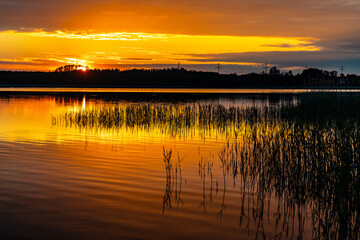 Panoramic summer sunset view of Jezioro Selmet Wielki lake landscape with reeds and wooded...