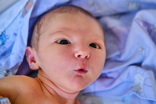 Triangular alien - shaped face of a newborn baby, a portrait with the emotion of surprise in a child