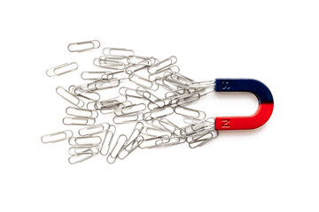 Horseshoe magnet collecting paper clips. Top view
