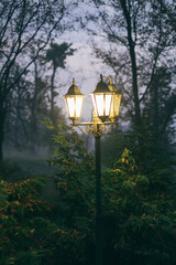 forest scary outside lantern yellow illumination mystery Hallowe