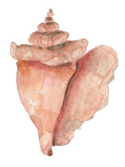 Watercolor shell element