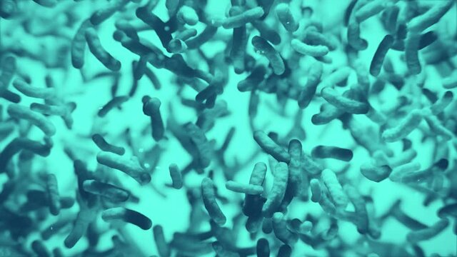 Bakterien: Cholera, Legionellen, MRSA oder Stabbakterien allgemein