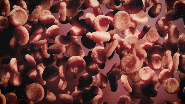 rote Blutpl&auml;ttchen oder rote Blutk&ouml;rperchen - Konzept Herz-Kreislauf