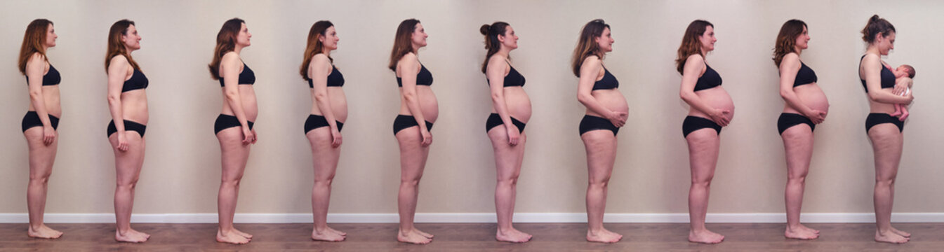 All stages of pregnancy from the first to the ninth month and the birth of a newborn baby. A pregnant woman with a belly from the beginning to the birth of a child