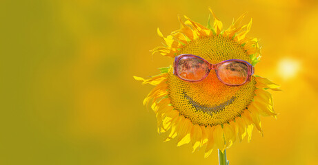 Smile on sunflower with sunglasses isolated on summer background as concept of healthy lifestyle and proper nutrition for positive banner, label, greeting card, invitation, sticker, etc.