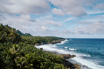 Fototapeta premium Tropical landscape. Seashore, big waves.