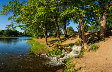 Summer panorama with picturesque trees on the river bank with a spring