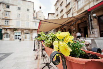 Fototapeta na wymiar Pot with flowers on the street of old europian town.