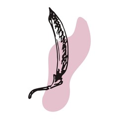 The plant is drawn by hand with a pen and translated into vector format. In the background there is an abstract colored spot. Stock vector illustration. For garment decoration, packaging, interior