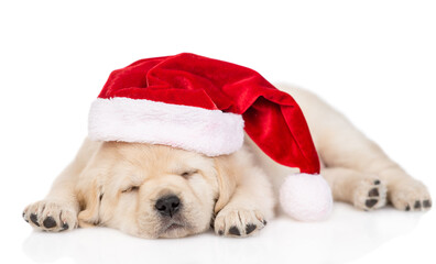 Golden retriever puppy wearing  red christmas hat sleeps. isolated on white background