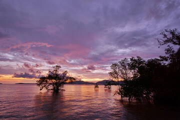 Beautiful sunset landscape with colorful sky and tree silhouette in water near the shore.