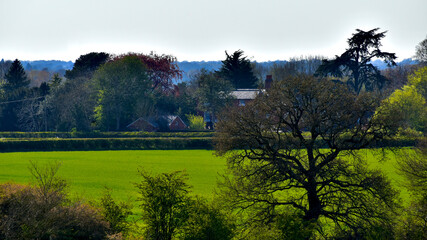 Rustic landscape with farm and fields in the evening in spring, England, UK