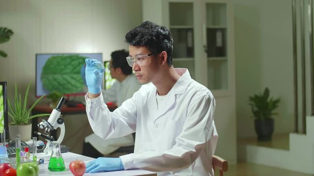 Asian Scientist Man Looking At Test Sample Of Leaf Analyzing For Biological Experiment With Organic Plants. Biologist Specialist Discovering Organic Gmo Plants While Working In
