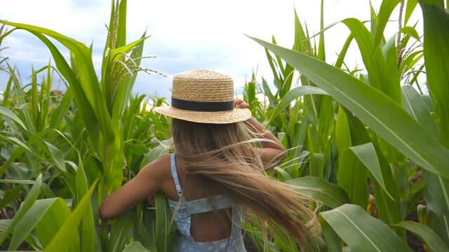 Beautiful little girl in straw hat running through corn field, turning to camera and smiling. Happy small kid with long blonde hair having fun while jogging over the maize plantation. Slow motion