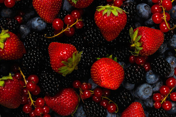Fototapeta premium Blackberry, raspberry, blueberry, red currant and mint background.