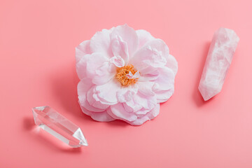 Rose quartz, rosehip flower, crystal of transparent pointed glass are placed on a delicate background