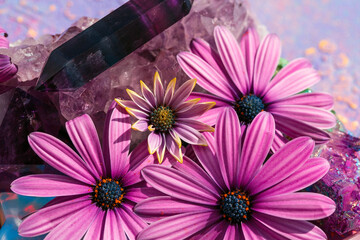 Beautiful semi-precious stones and flowers of African chamomile. Amethyst, quartz, fluorite crystal close-up. Healing with crystals. Aura Quartz