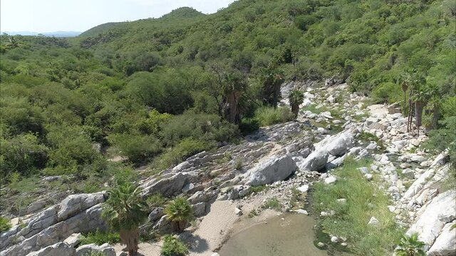 Santiago BCS, M&eacute;xico (Arroyo)