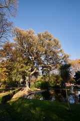 Day in beautiful green city park with pond.
