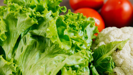 fresh green lettuce to make delicious salads for your loved ones