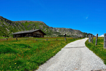 Fototapeta na wymiar alpe di villandro It is the second largest mountain pasture in Europe south tyrol italy