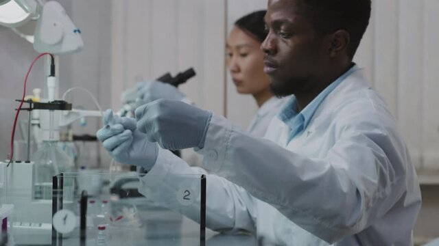 Slowmo of African-American male scientist in white coat and gloves taking lab rat out of glass tank and injecting it with experimental drug Asian female scientist doing research in background