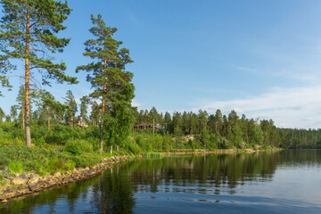 Fototapeta na wymiar Lake in the forest